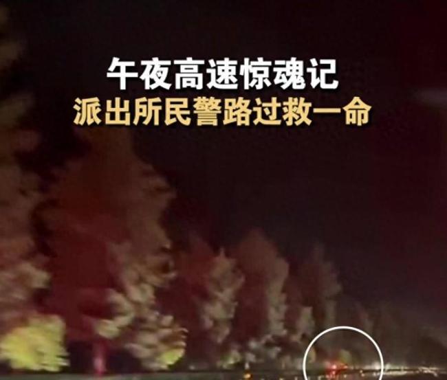 刚下证女司机高速逆行被吊销驾照 新手迷路险酿大祸