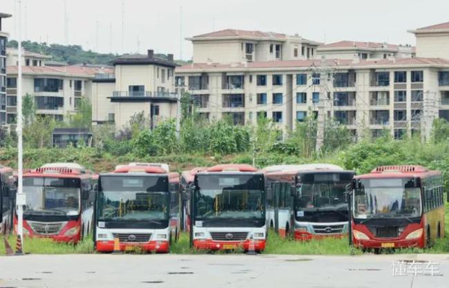 200辆公交封停 传统能源车退役引发关注