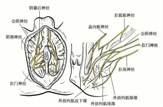 放整个杭州肛肠科都很炸裂 锦旗创意大赏