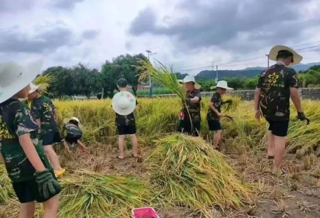 如何破解谁来种地怎么种好地等难题 构建农业全产业链发展模式