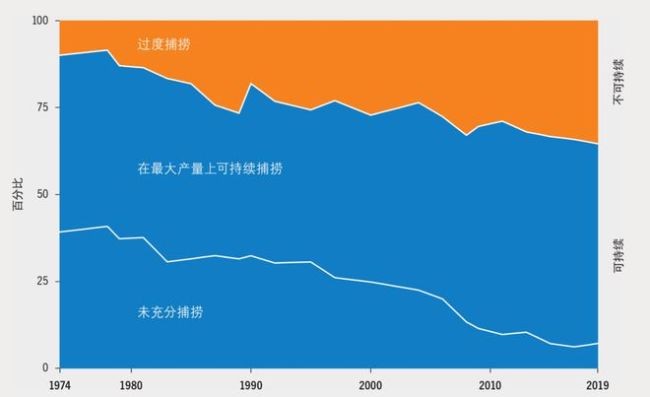 从吃鱼难到人均占有量世界领先，我国是如何成长为渔业大国的