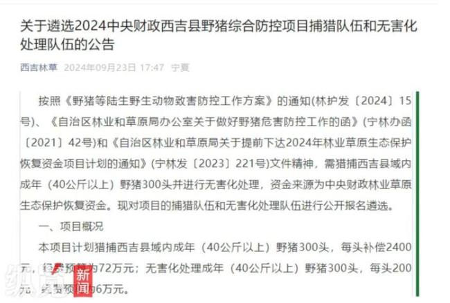 野猪泛滥致害26省 多地赏金猎捕 成本高昂难题多