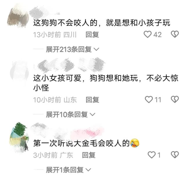 女童商场内遭狗扑咬 狗主人态度嚣张 养狗乱象引争议