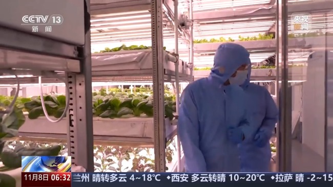 植物工廠長啥樣？揭秘種菜“黑科技”