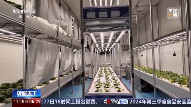 植物工厂长啥样？揭秘种菜“黑科技”