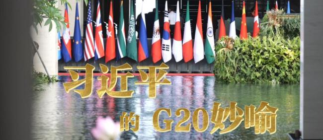 习近平的G20妙喻