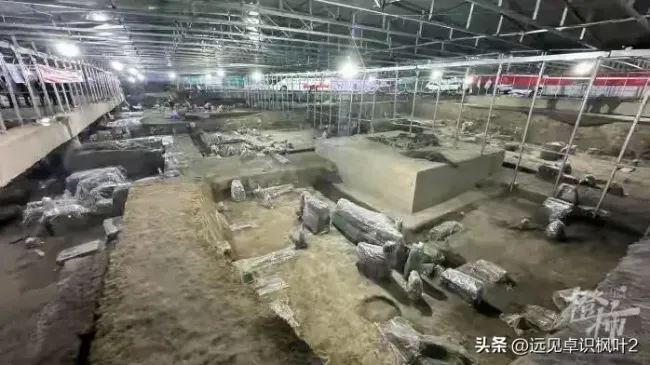 浙江一学校扩建挖出两千年前的马 历史的惊喜发现