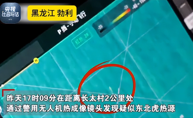 黑龙江伤人老虎已被捕获？不实！专家发声曝光内情