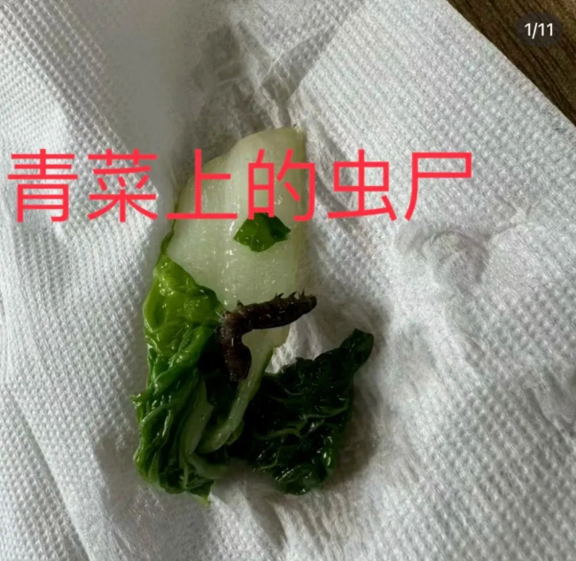 学校食堂现腐臭变质食品？多方回话 家长担忧食材安全