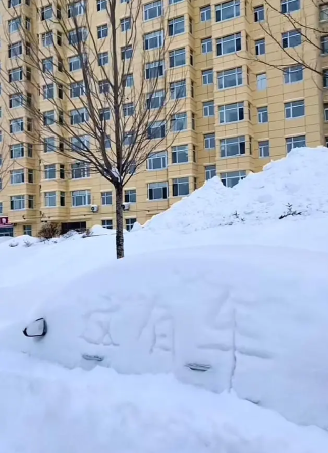 暴雪过后鹤岗车主挖宝寻车