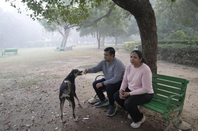  夺命雾霾侵袭印度：突突车司机被动营生，庸俗东谈主买不起净化器