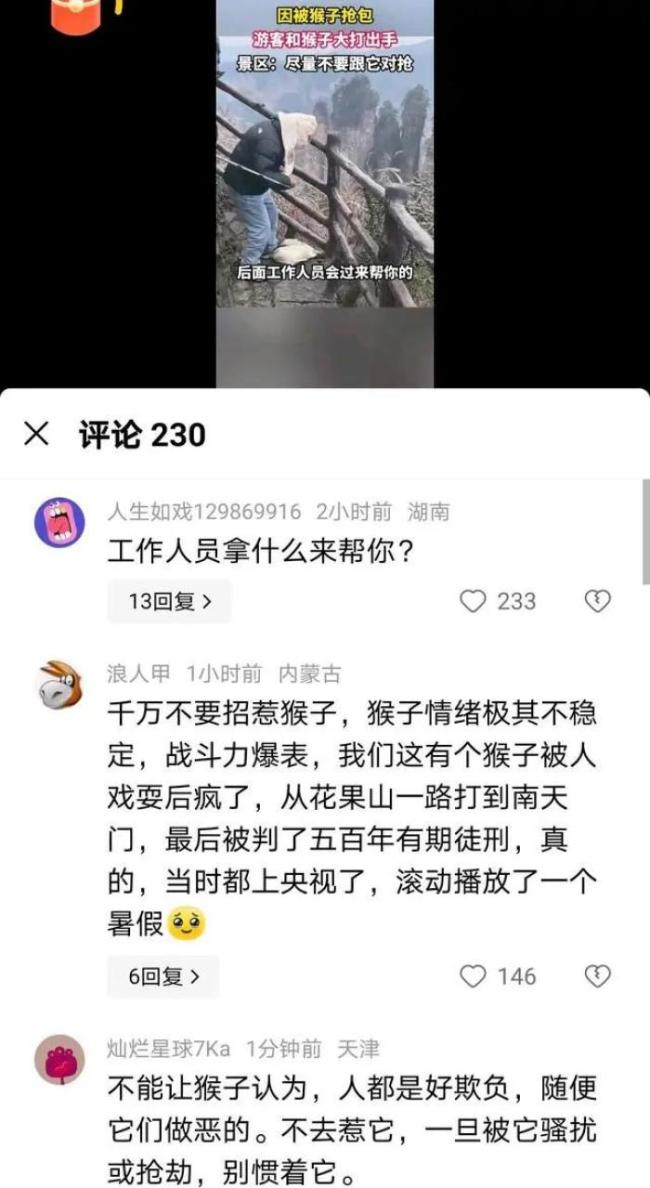 女生景被猴子抢包 果断出拳与猴子“搏击互殴” 事件引发热议