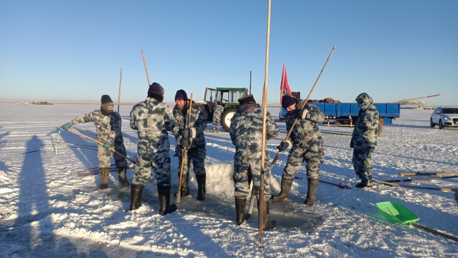 内蒙古达里湖：冰天雪地间感受百年冬捕魔力