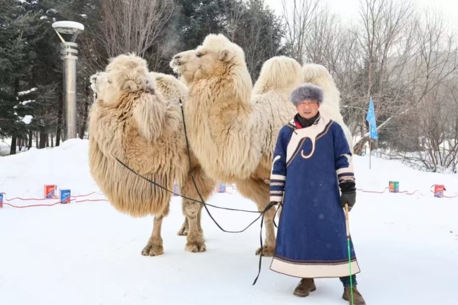 尔滨“冰雪乐园·神鹿滑雪场”开园 多项文旅体验活动等你来