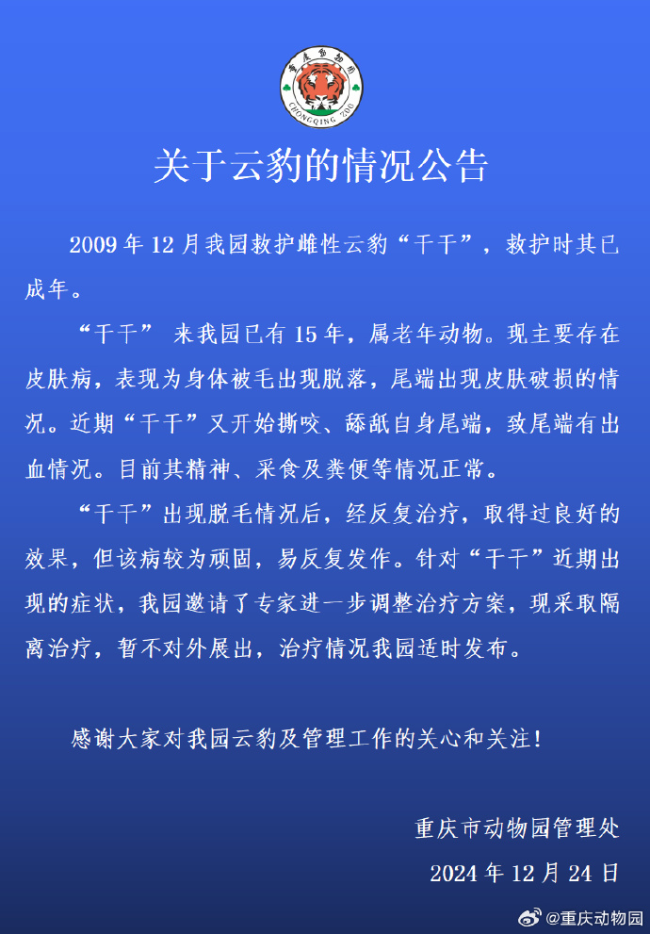 大陆动物园最后一只云豹，被采取隔离治疗