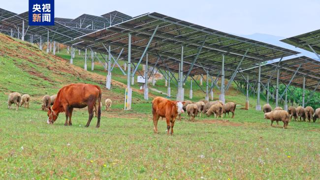 九大清潔能源基地之一全容量並網發電