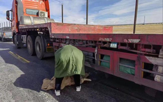 随意投喂野生动物需要担责吗 隐患重重引关注