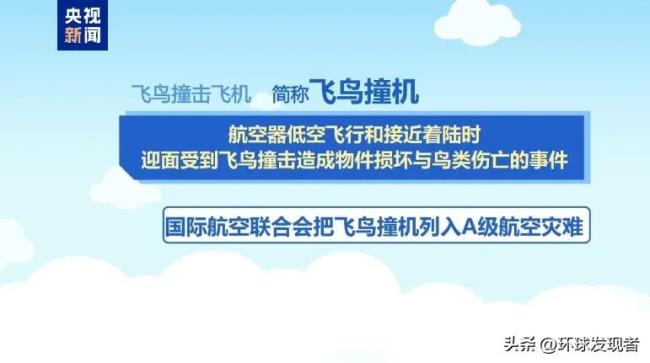 专家解读阿航坠毁客机8字形航迹 悲剧背后的谜团