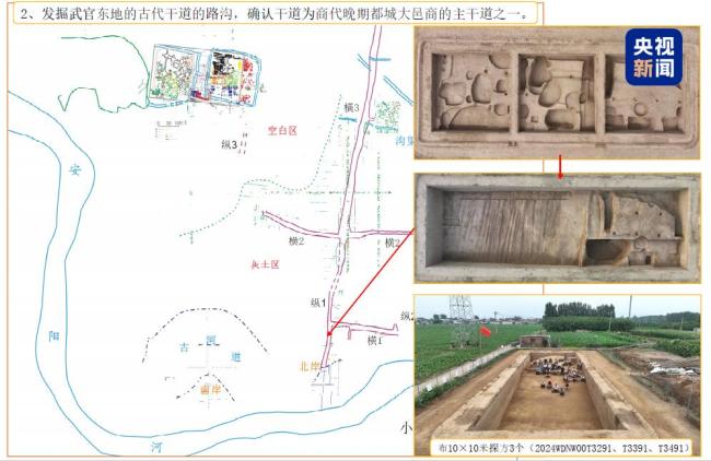 华龙洞遗址发现已知最小猫科动物化石种，与现存体型最小猫科动物相当 考古新进展引发关注