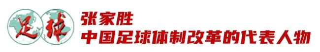 从张家胜、宋凯到周海滨、武磊……中国足球人的2024