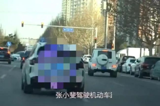 张小斐开大G连续违章6次，网友：滤镜碎一地，车品见人品