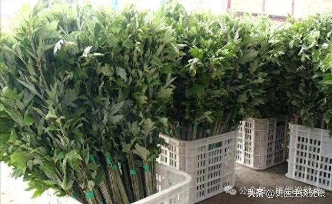 山东一大妈用艾草当枕芯，半年后去医院检查，医生：你干了啥？