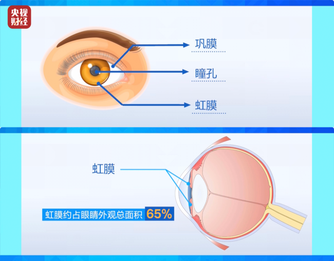 或致个东说念主生物特征裸露！记者起底“虹膜写照”乱象