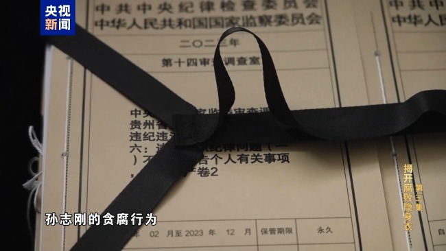 专题片《反腐为了东说念主民》第三集《揭开蜕化隐身衣》