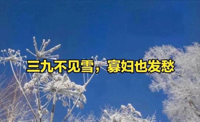  今年“三九”不冷,，以后還會(huì)冷嗎,？