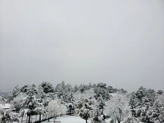 陜西或?qū)⒊蔀閺?qiáng)降雪中心 雪王稱號花落誰家,？