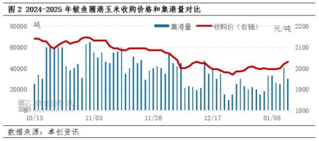 多因素支撐年前玉米市場出現(xiàn)翹尾行情 供需變化助推價格上漲