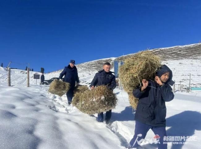 新疆为野生动物过冬撑伞 爱心守护生命