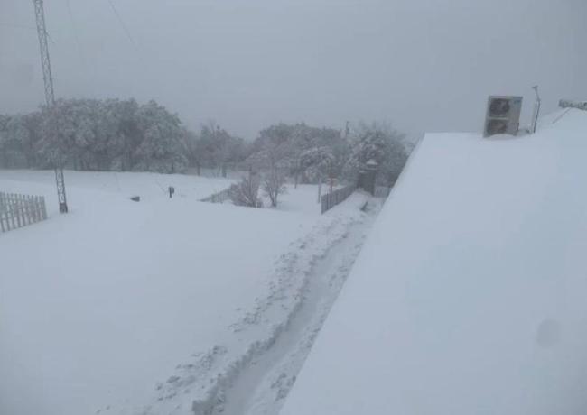 河南局地暴雪深度超20厘米