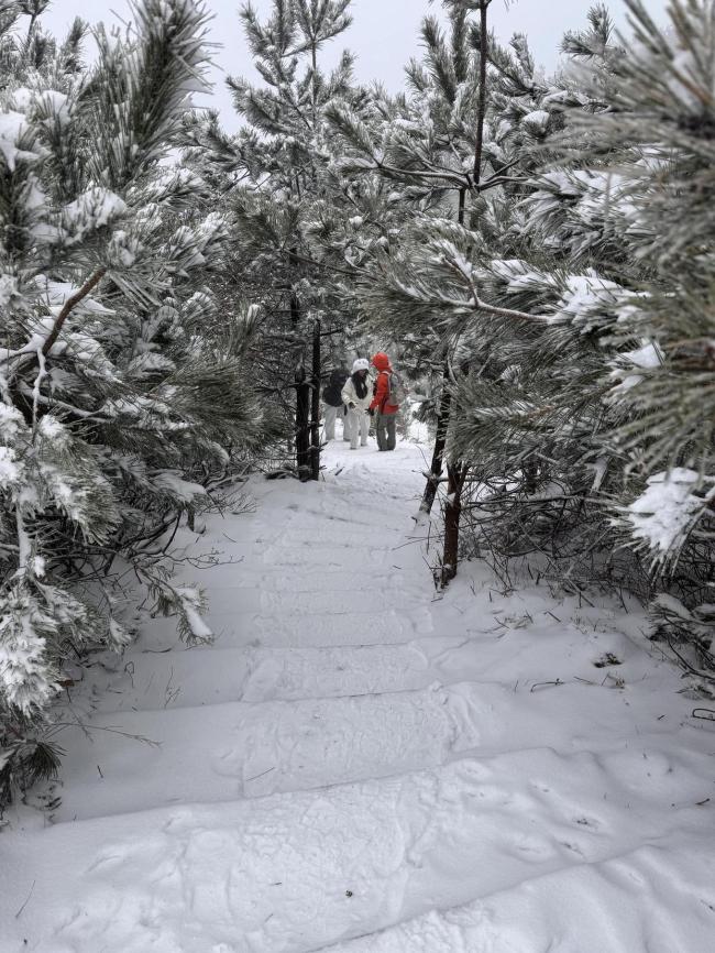 浙江多地高山區(qū)出現(xiàn)積雪 新一股冷空氣已安排 雨雪來去匆匆寒意濃