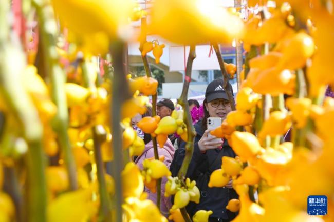 香港年宵花市年味濃 花海人潮迎新春