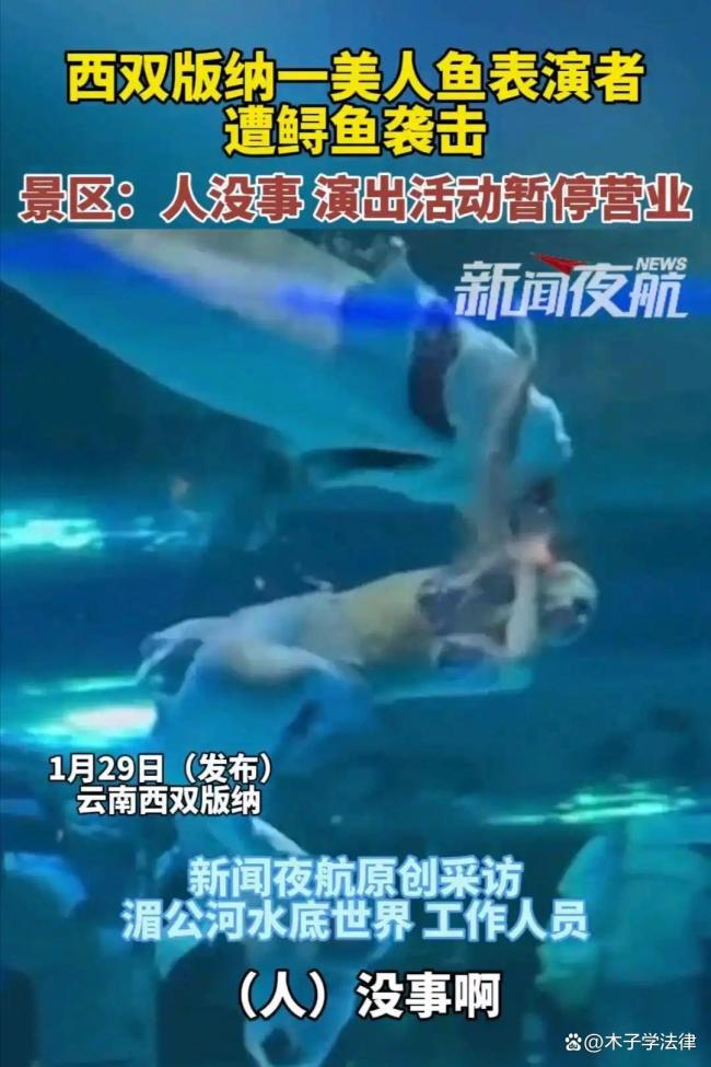 美人魚表演者遭鱘魚襲擊 安全引關(guān)注