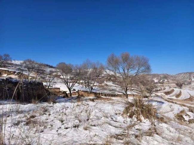 蛇年伊始內(nèi)蒙古大部風(fēng)消雪霽