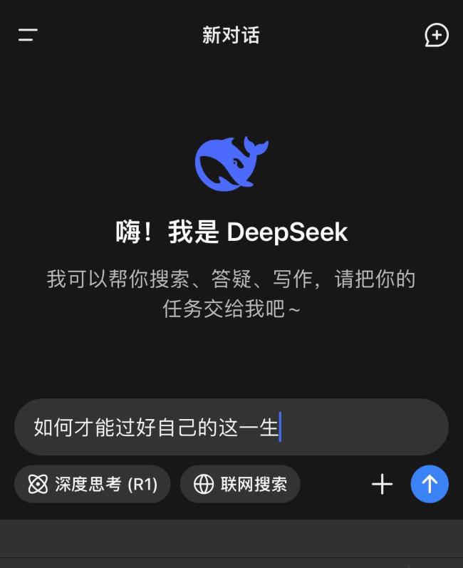 DeepSeek回答如何過好這一生