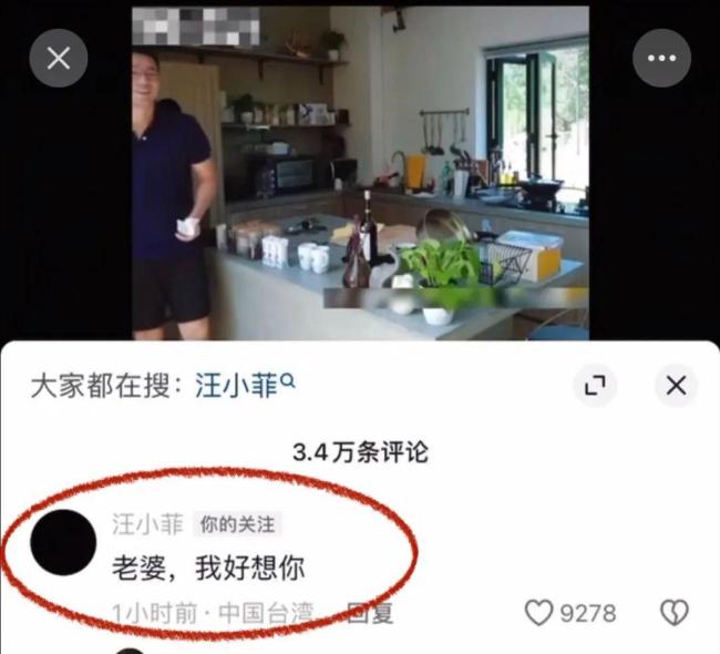 “老婆,，我好想你”,，汪小菲在大S綜藝視頻下留言