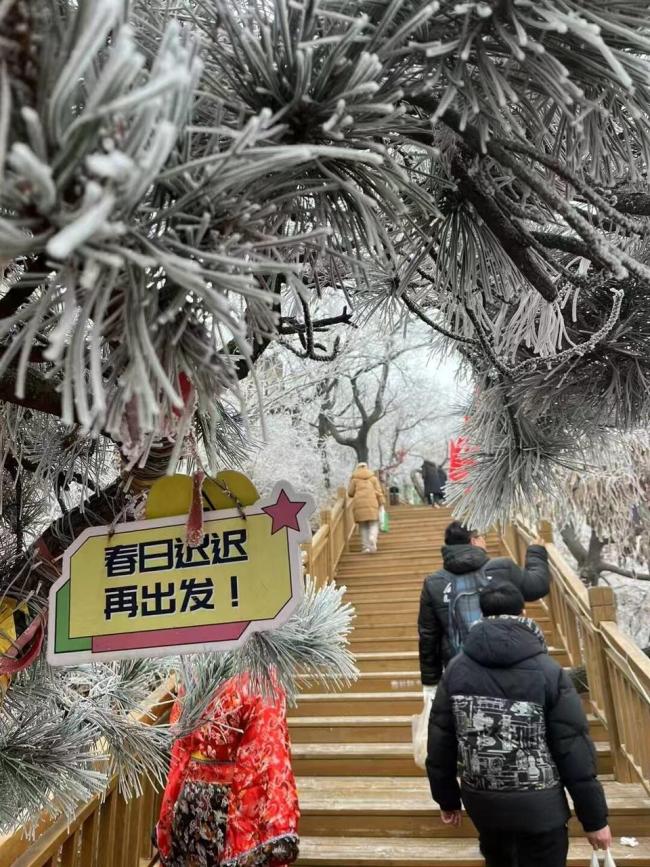  《國色芳華》熱播帶火沂山春節(jié)游,，冰雪奇觀+非遺引客增長超兩成