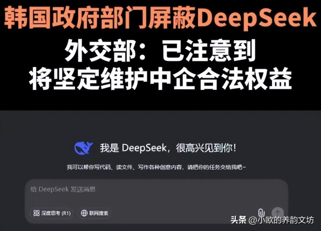 韓國(guó)代總統(tǒng)點(diǎn)名DeepSeek 全面禁用引發(fā)爭(zhēng)議