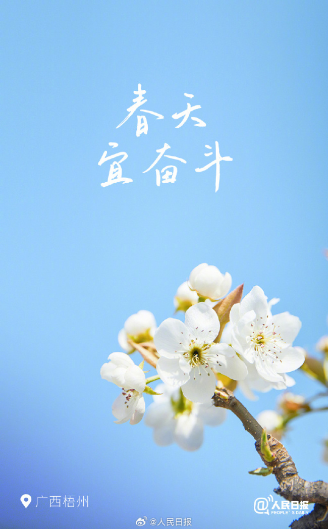 花開種花家,，不負(fù)好時(shí)光,！多地已開啟花開模式