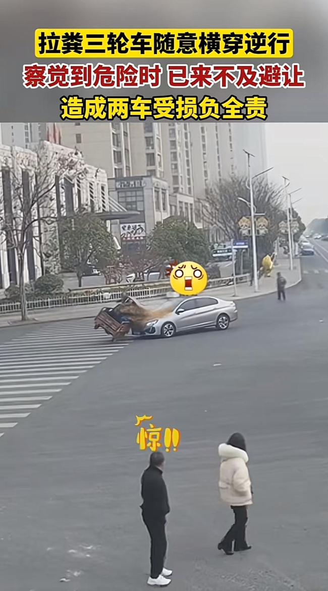 糞車逆行撞上小車 小車被潑一車糞