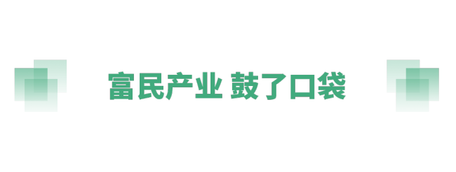 奋进的春天丨不负春时农桑忙