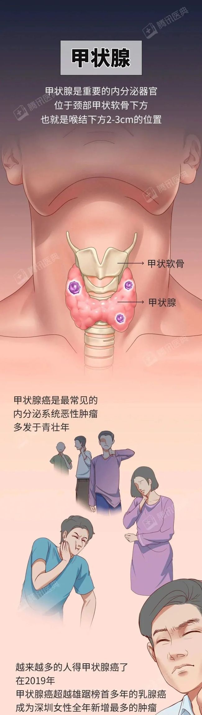 从头到脚的防癌重点，值得为自己和家人收藏！