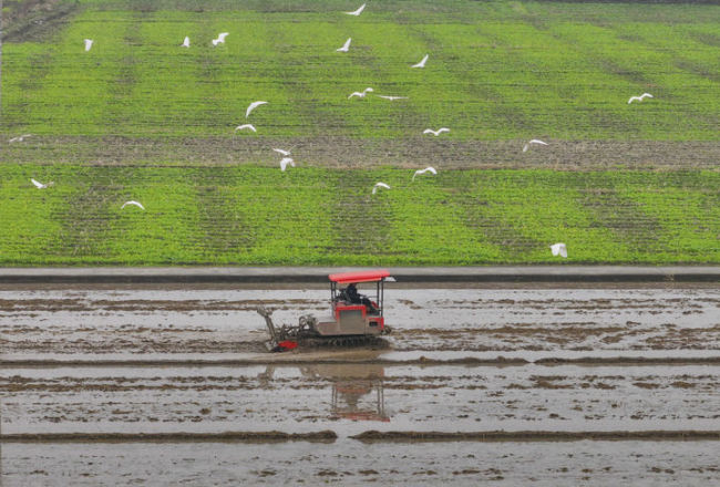 鐘華論:共同奔向中國(guó)式現(xiàn)代化的美好未來