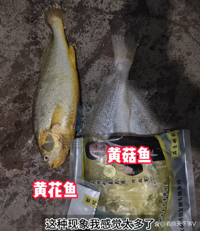 男子買到山寨黃花魚