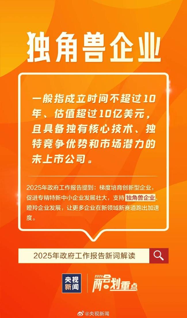 這些首次進(jìn)入政府工作報(bào)告的新詞是什么意思,？