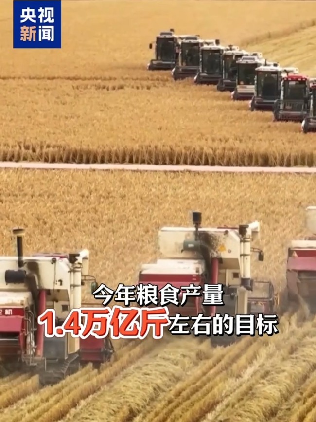 粮食产量“新目标”如何达成 提产能增单产