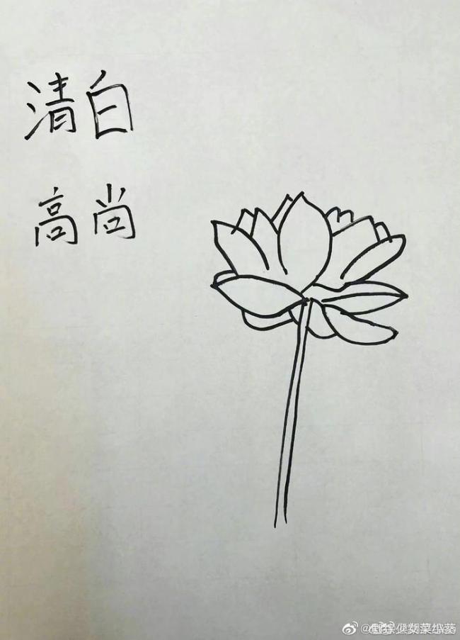 《你好星期六》三八節(jié)全員送花花 浪漫手寫花語滿分